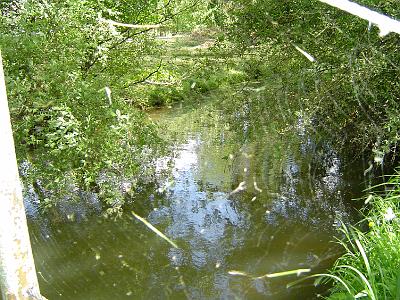 Photo-33 