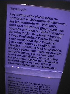 Photo-57 